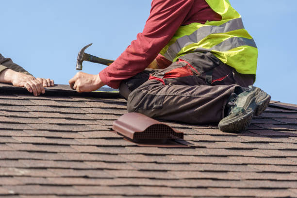 Roof Gutter Cleaning in Bude, MS