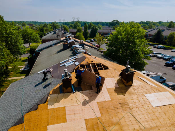 Best Local Roofing Companies  in Bude, MS
