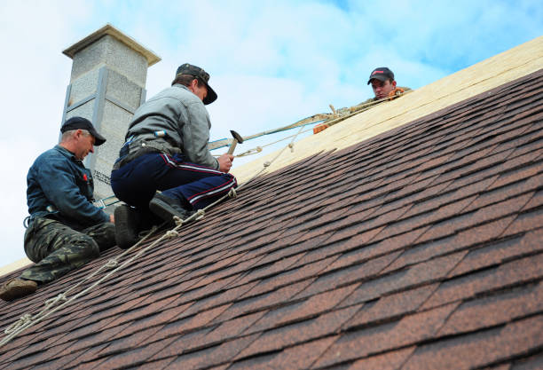Best Roof Inspection Near Me  in Bude, MS